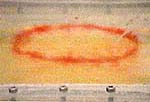Impact of a vortex ring with a solid boundary